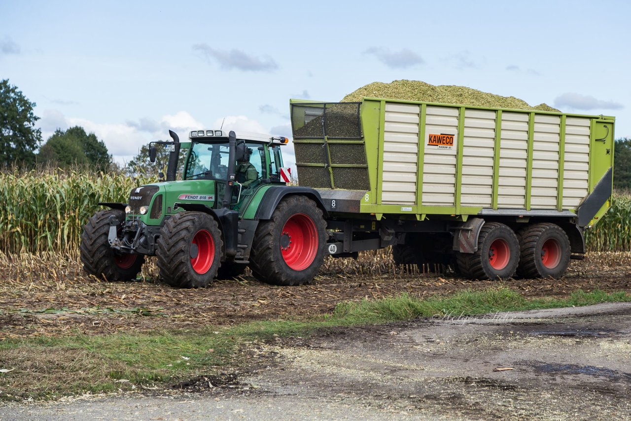 Bild 116 - Maisernte